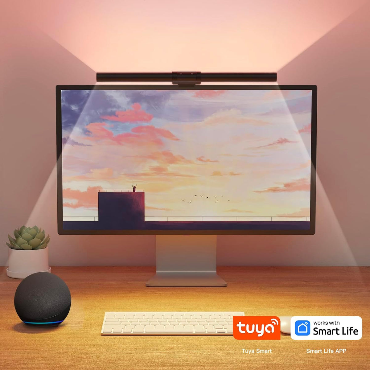 RGB Monitor Light Bar with USB Desk Lamp