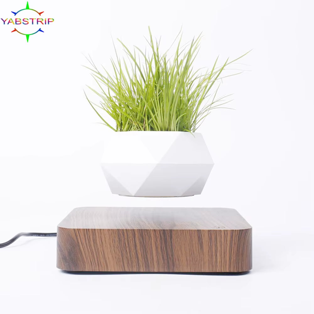 Levitating Floating Bonsai Pot