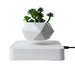 Levitating Floating Bonsai Pot