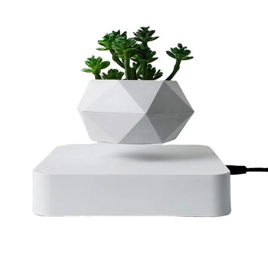 Levitating Floating Bonsai Pot