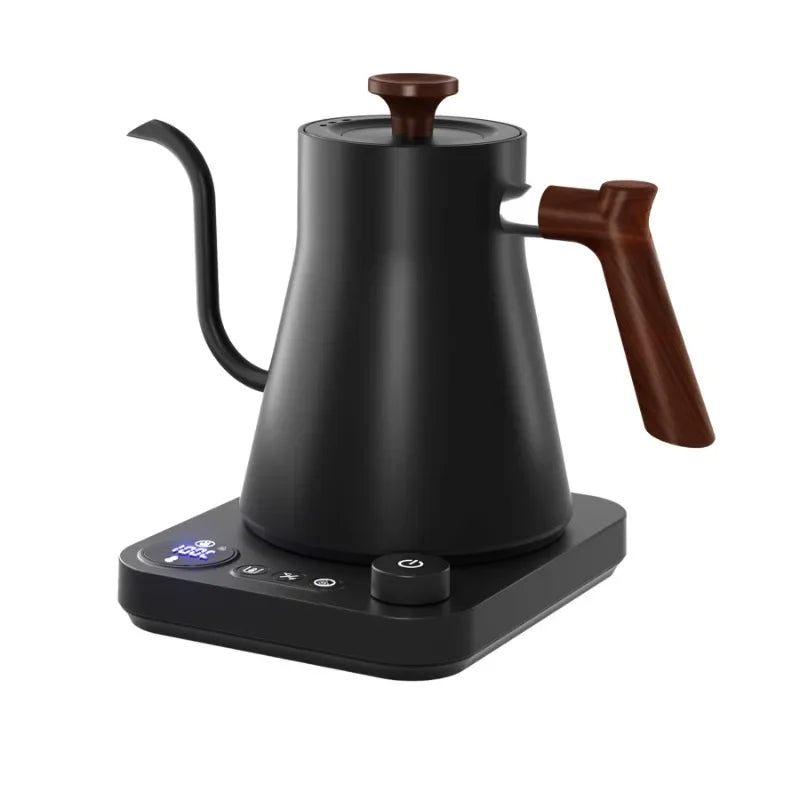 Gooseneck Electric Kettle with Temperature Control