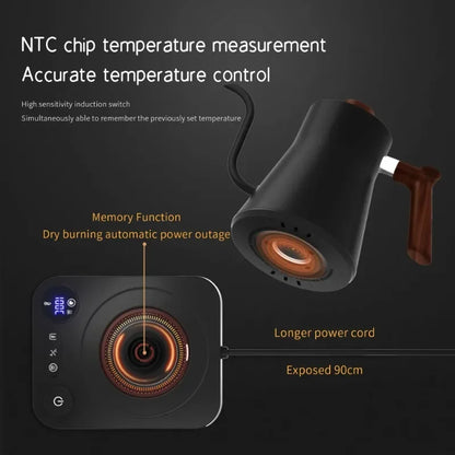 Gooseneck Electric Kettle with Temperature Control
