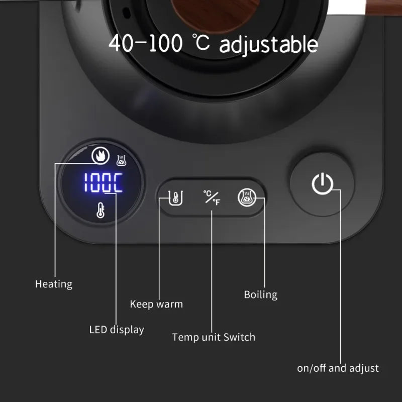 Gooseneck Electric Kettle with Temperature Control