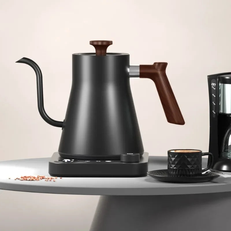 Gooseneck Electric Kettle with Temperature Control