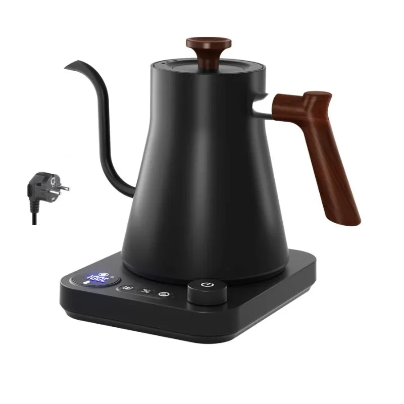 Gooseneck Electric Kettle with Temperature Control
