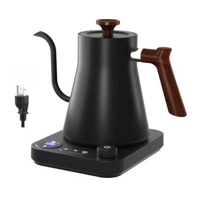 Gooseneck Electric Kettle with Temperature Control