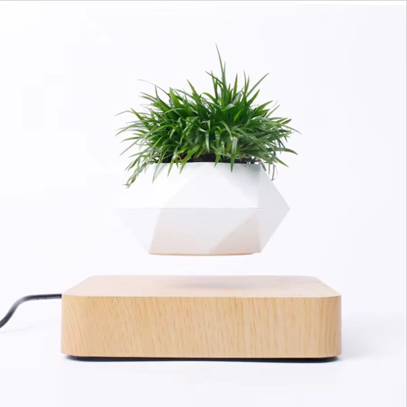Levitating Floating Bonsai Pot