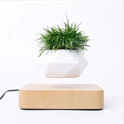 Levitating Floating Bonsai Pot