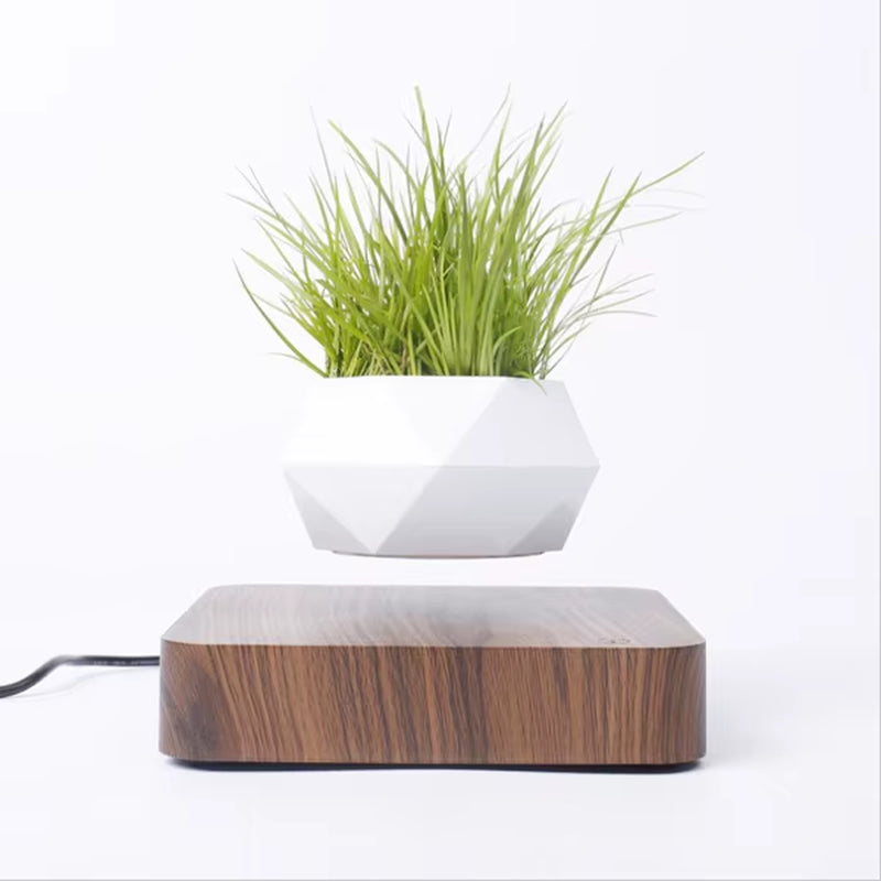Levitating Floating Bonsai Pot