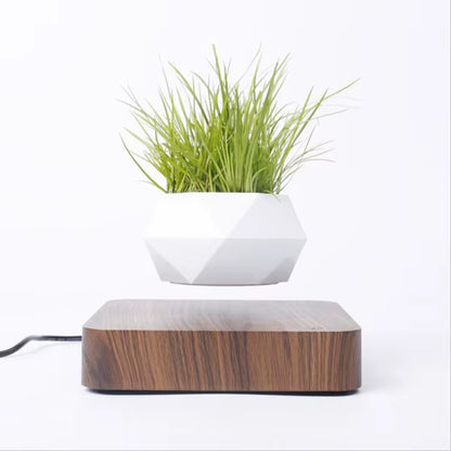 Levitating Floating Bonsai Pot