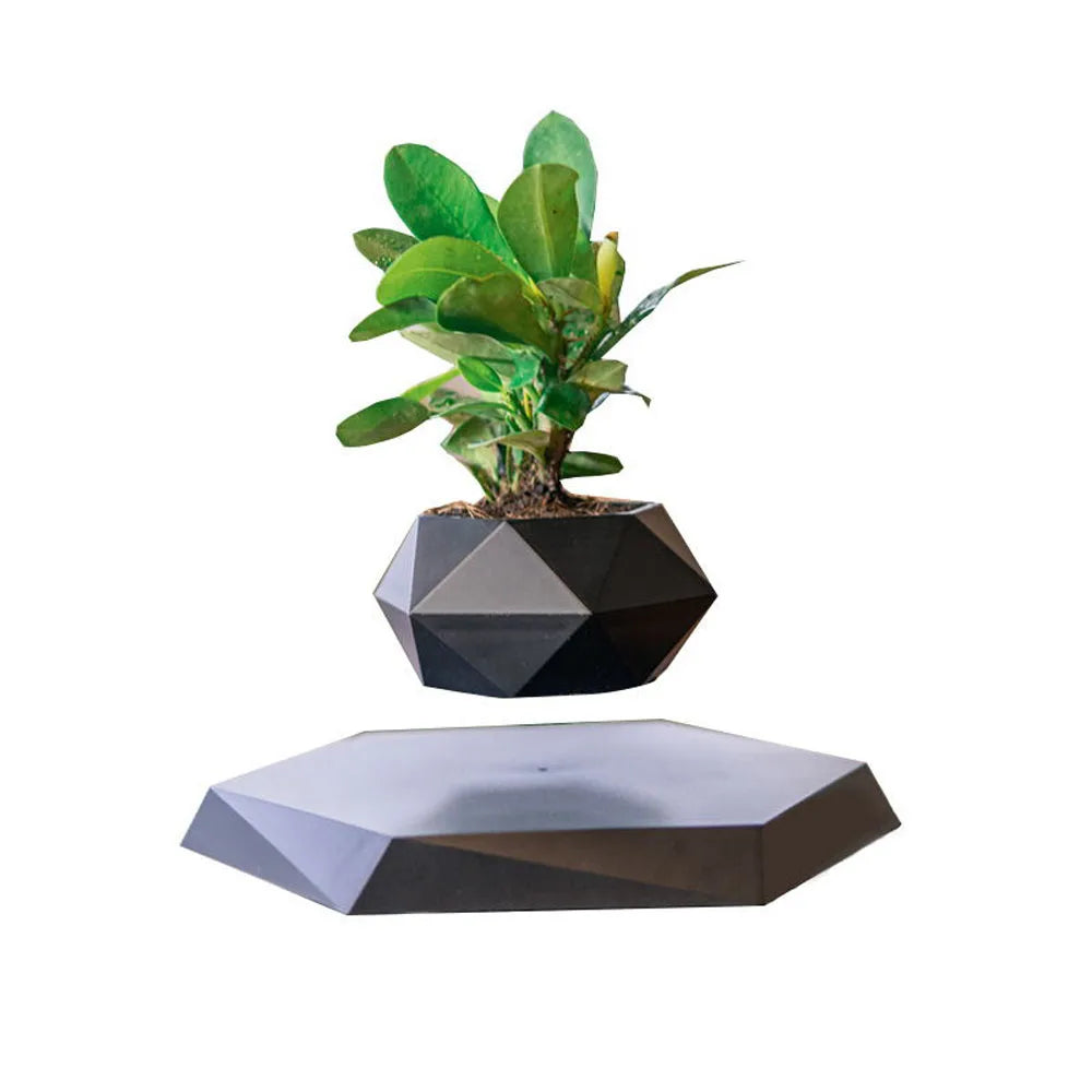Levitating Floating Bonsai Pot